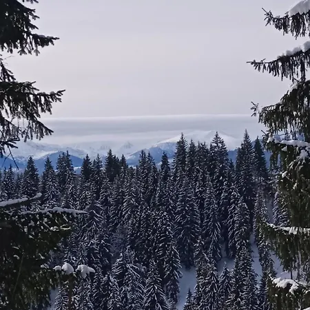 Hébergement de vacances Vipche House