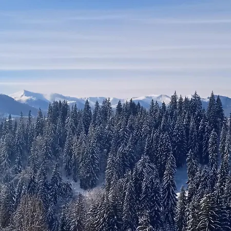 Vipche House Hébergement de vacances *