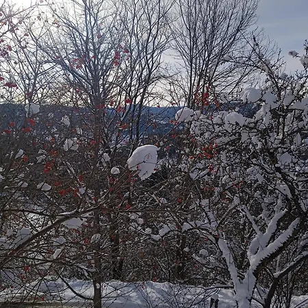 Hébergement de vacances Vipche House