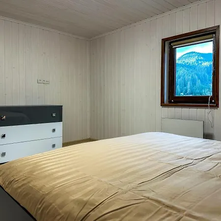 Vipche House Tatil Evi Verkhovyna